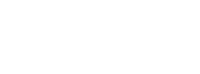 Institut Sabadell